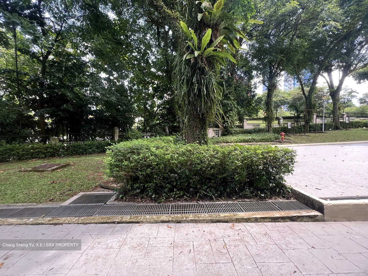 Cavenagh Lodge (D9), Apartment #446379821